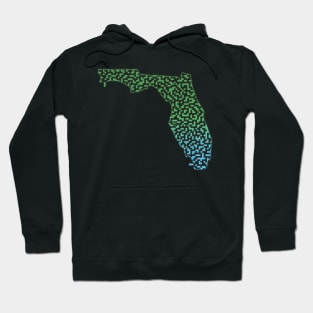 Florida State Outline Maze & Labyrinth Hoodie